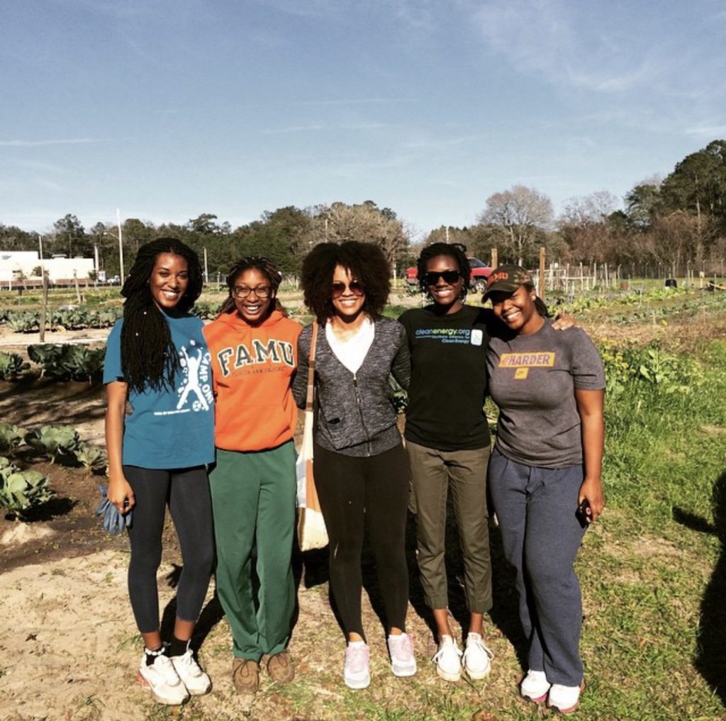 The FAMU Student Community Garden.  Photo provided by Smarter by Nature,