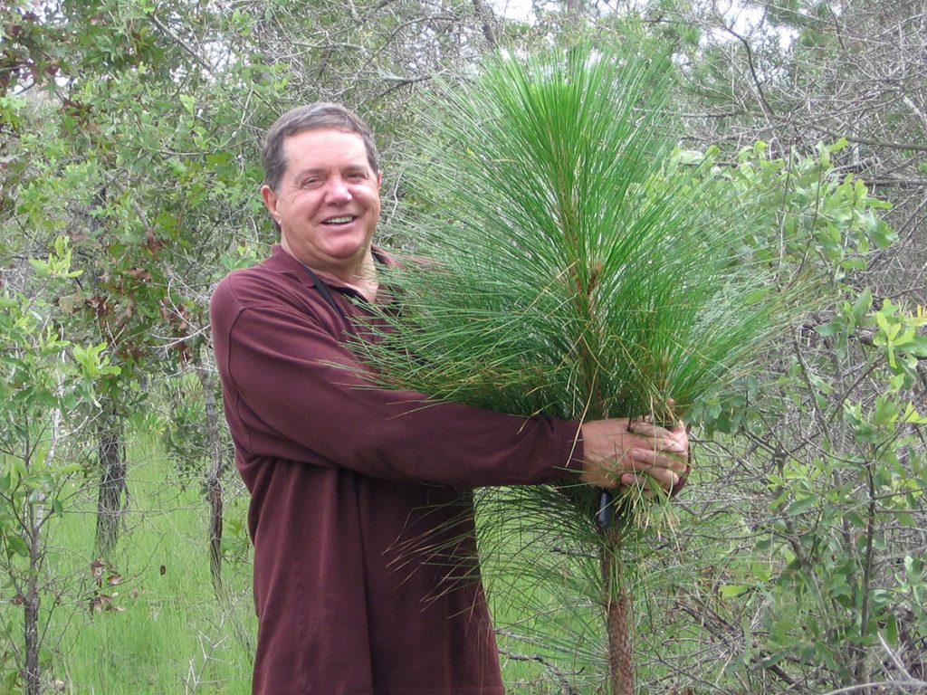 Nokuse Plantation founder MC Davis hugs a young adult longleaf pine.