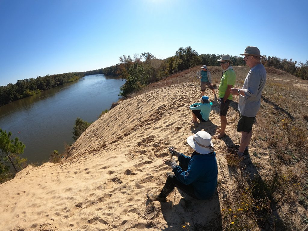 Looking out from atop Sand Mountain on the Apalachicola River.