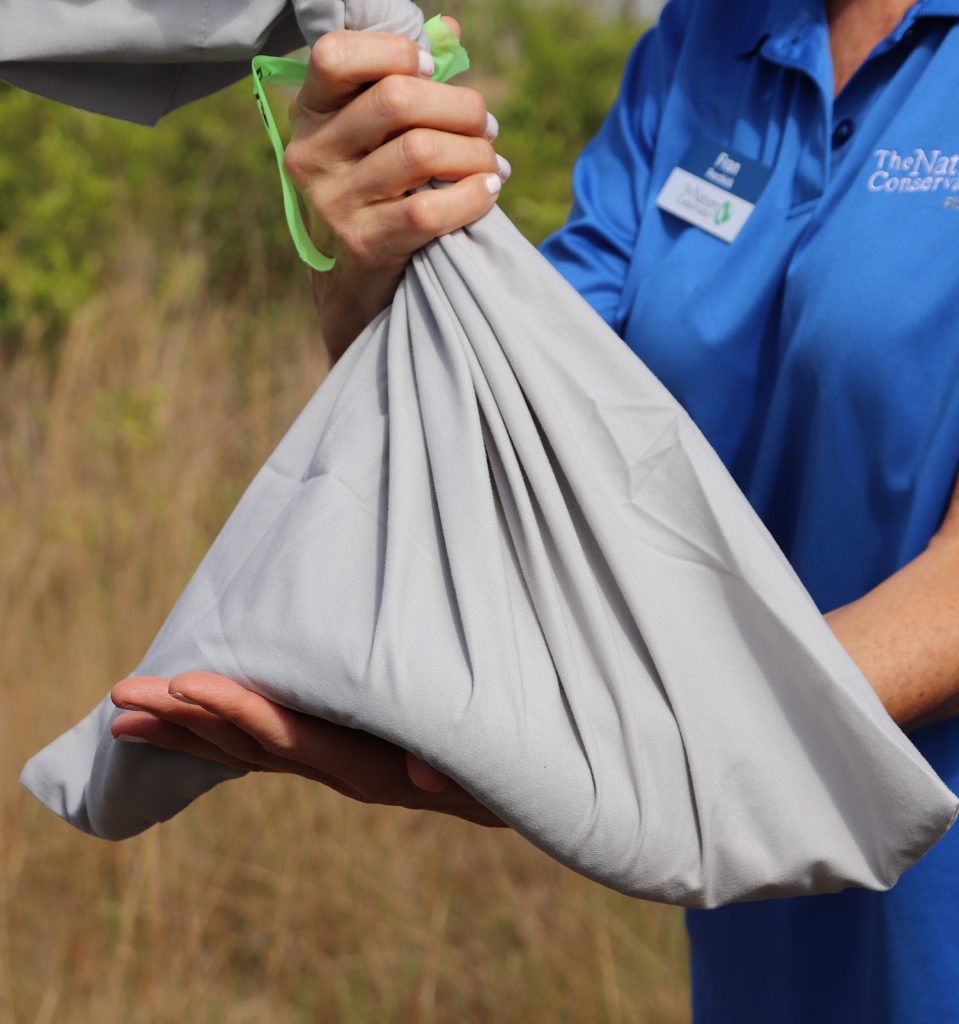 The Nature Conservancy in Florida's Fran Perchick holds a pillowcase containing an eastern indigo snake.  If you look closely, you can see the snake's scales through the fabric.