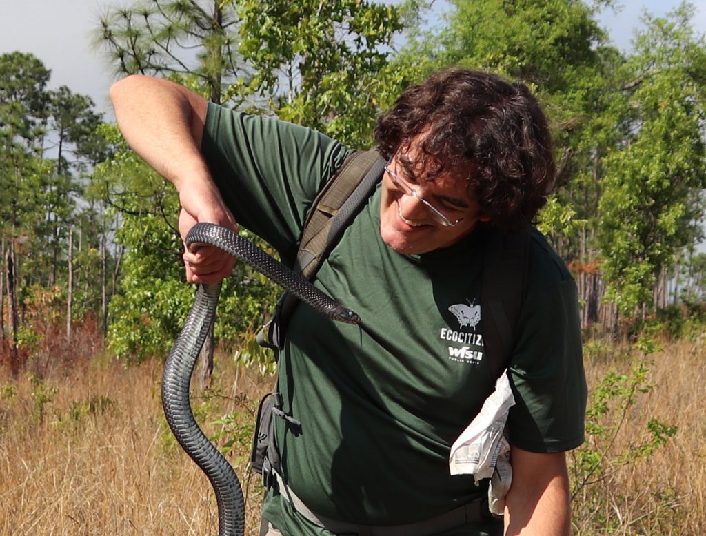 WFSU Ecology producer Rob Diaz de Villegas holds an indigo snake.  This, and all photos in the blog post, by WFSU's Lydell Rawls.