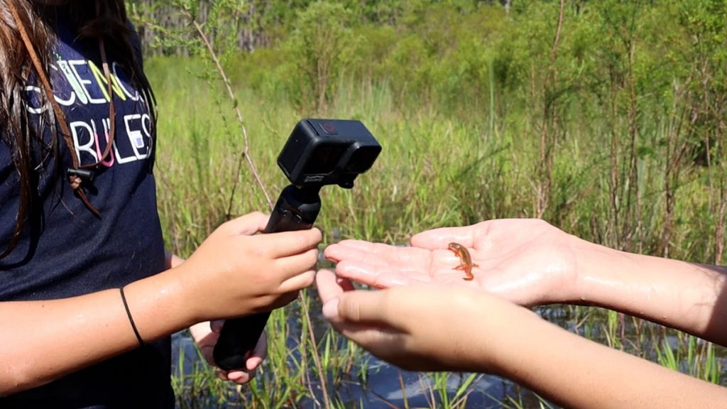 Max shoots video of Olivia releasing a newt she named Minnie Mouse.