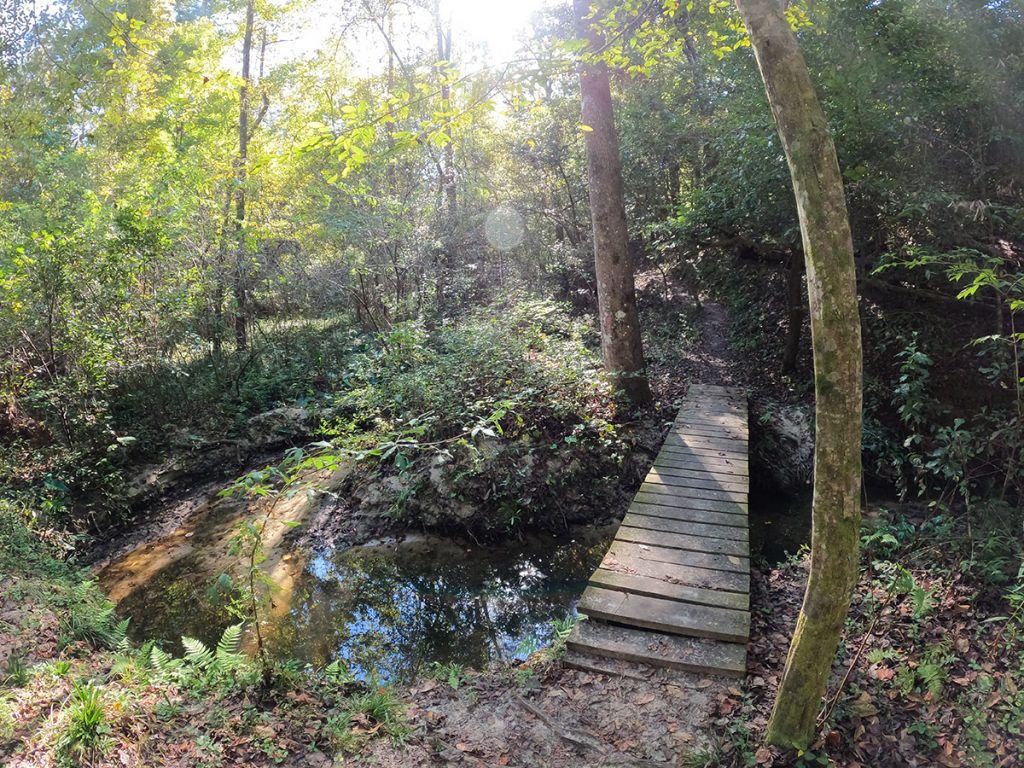 A small bridge crosses the stream at the bottom of Timberlane Ravine, October 2022.