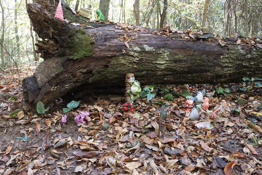 A shrine by a log at Timberlane Ravine.