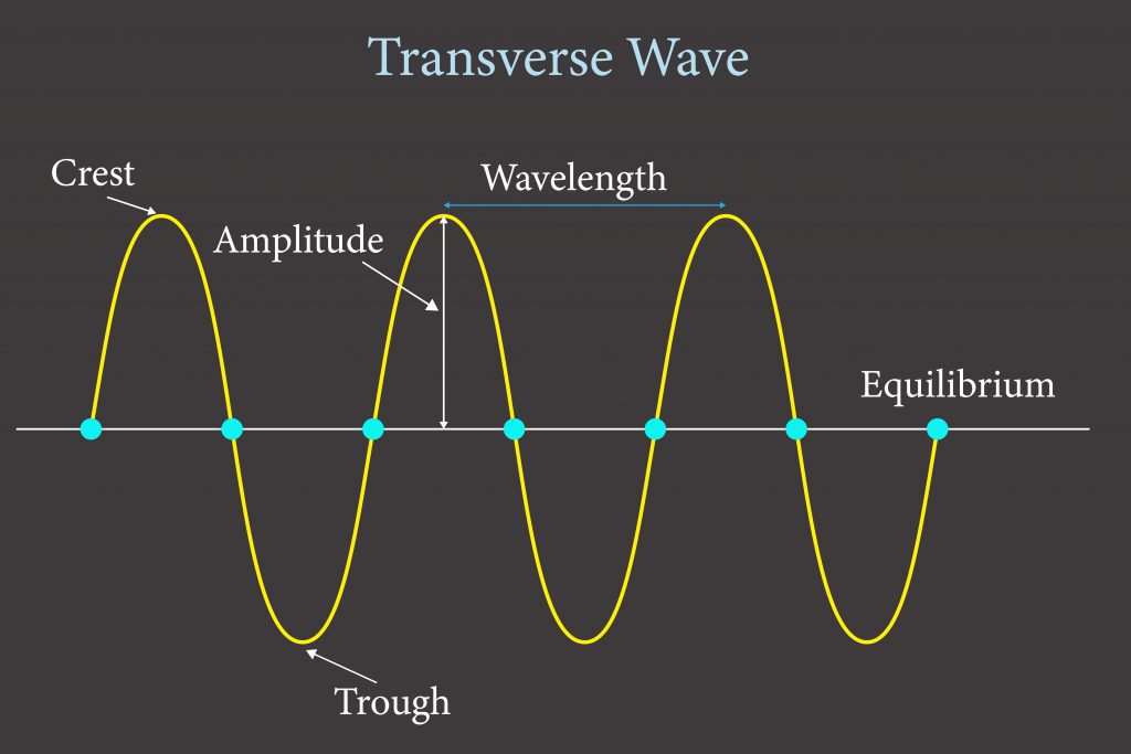 The motion of a transverse wave.
