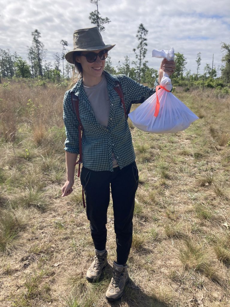 The Orianne Center for Indigo Conservation, who bred the snakes we released, brought the snakes into the field via pillowcases. Here, I stand in the field with 1 of the 19 pillowcases. A snake slithers inside the bag.