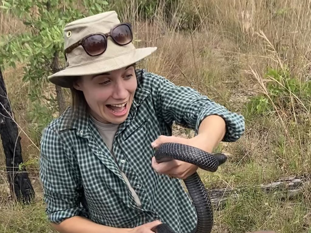 I nervously hold an eastern indigo snake in my hands as I prepare to release it into the wild.