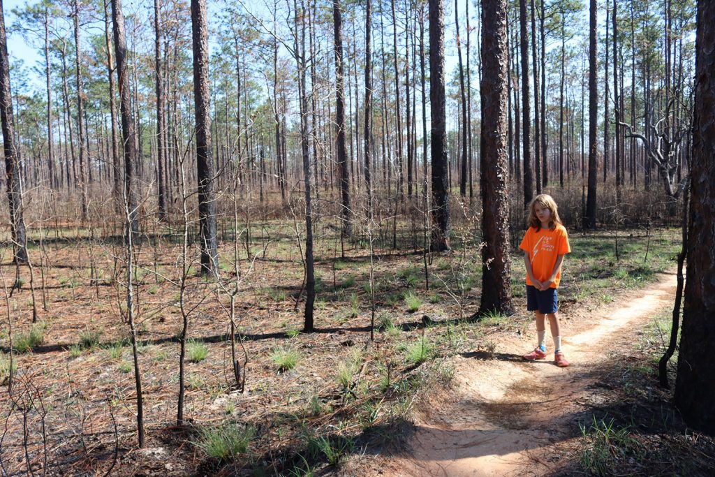 My son Xavi next to a longleaf forest burned less than a month earlier.