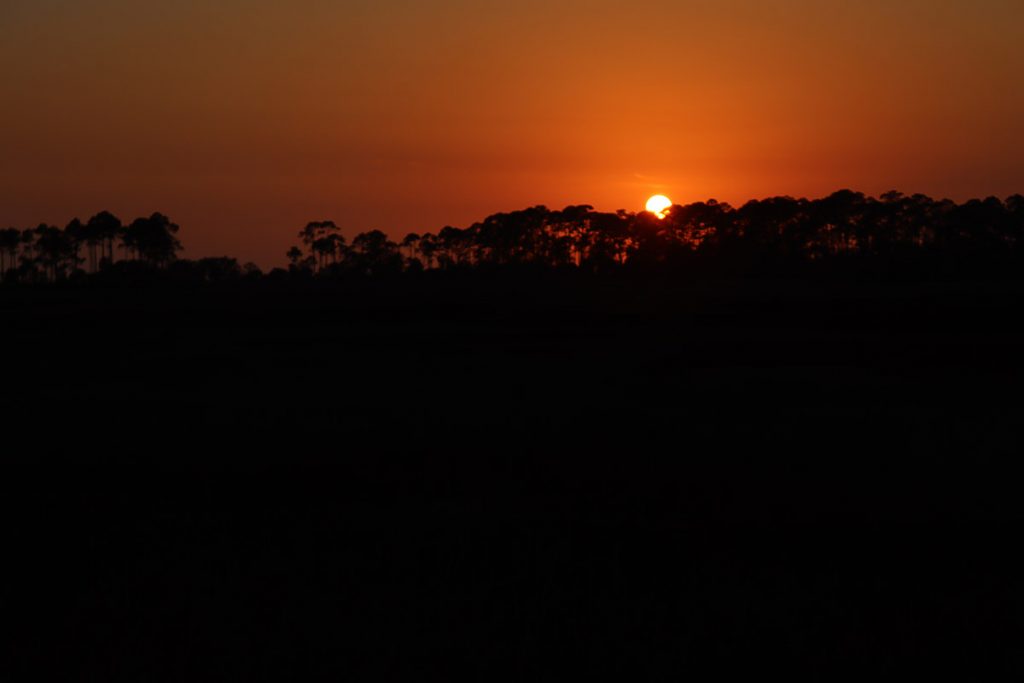 Sunset at the St. Marks National Wildlife Refuge,