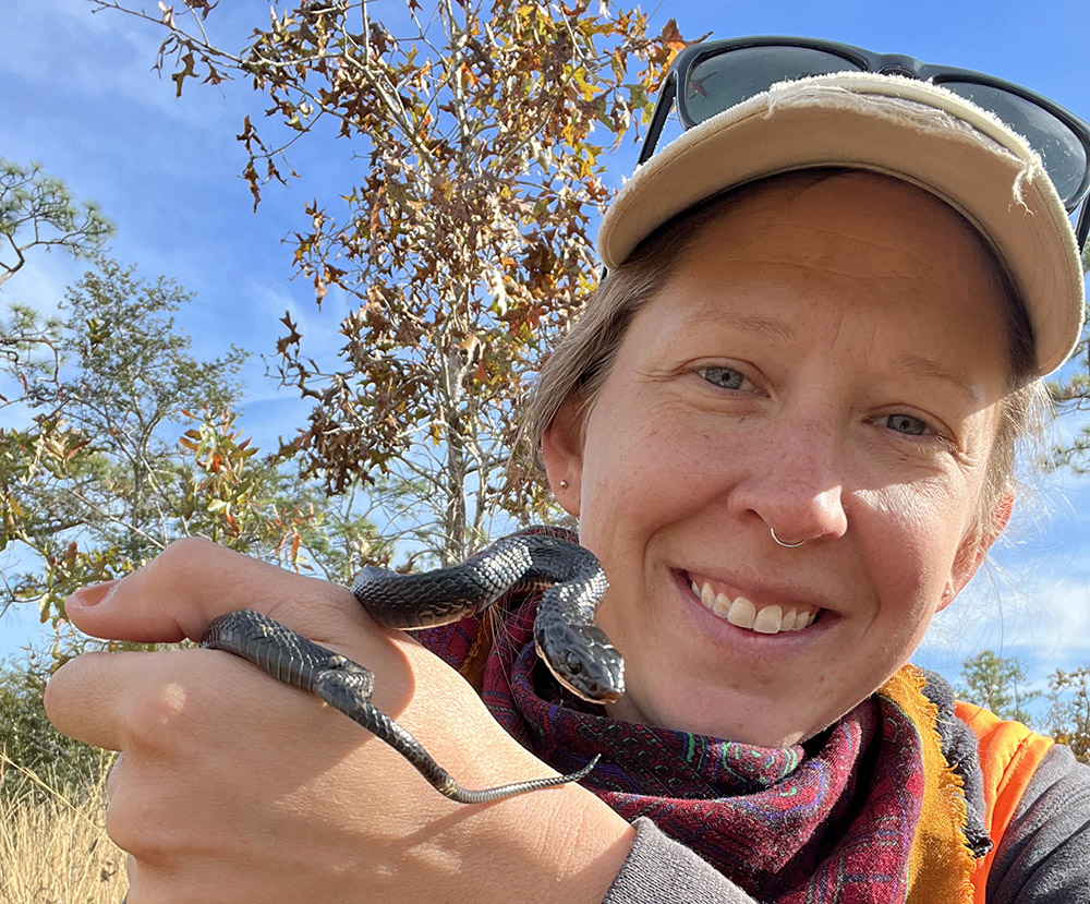 Indigo snake hatchling found near Alum Bluff. Photo by Michelle Hoffman, Orianne Center for Indigo Conservation - Central Florida Zoo.