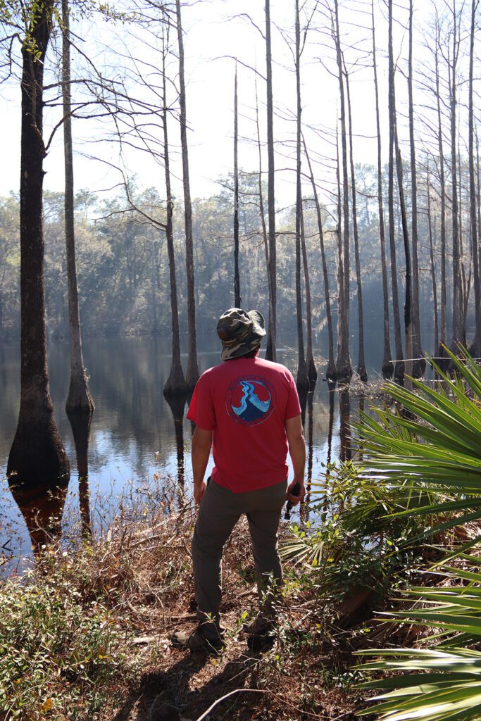 Part of the fun of finding rare plants and animals is exploring the places they live. WFSU  Ecology Producer Rob Diaz de Villegas looks over a cypress pond. Photo by Lydell Rawls.