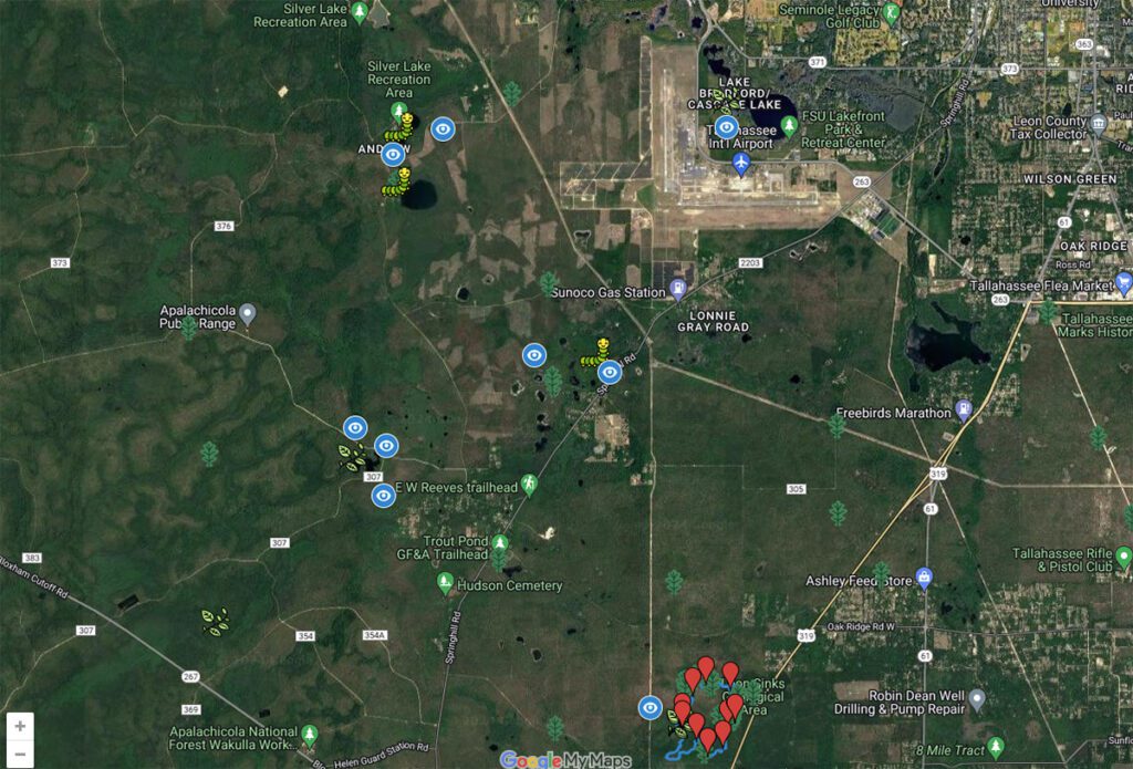 Map created by Dave Almquist showing iNaturalist observations for climbing fetterbush, Okefenokee Zale moth , and turkey oaks in Leon County, Florida.