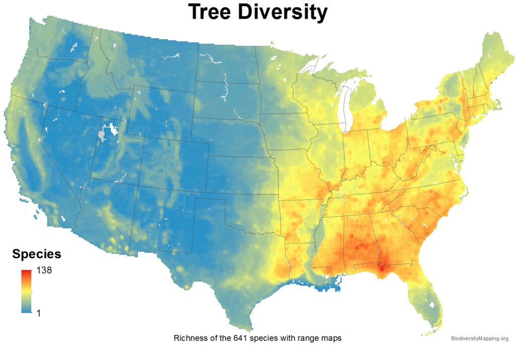 Tree diversity in the United States. Map generated by the US Geological Survey, courtesy biodiversitymapping.org.